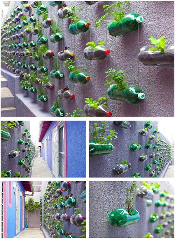Bilal Mirza S World 13 Plastic Bottle Vertical Garden Ideas