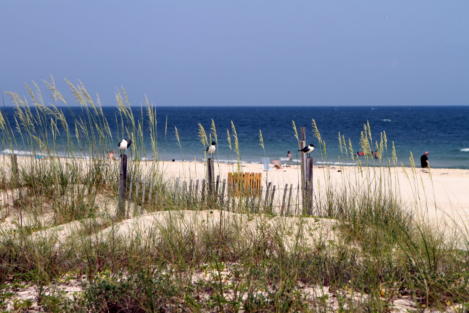 Today's Creations Cape St. Island, Florida