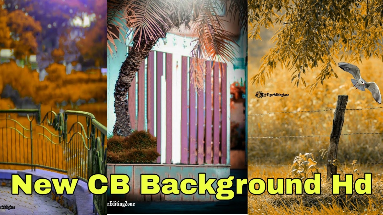 Featured image of post Raj Photo Editing Background Download : Continue editing your photo background.