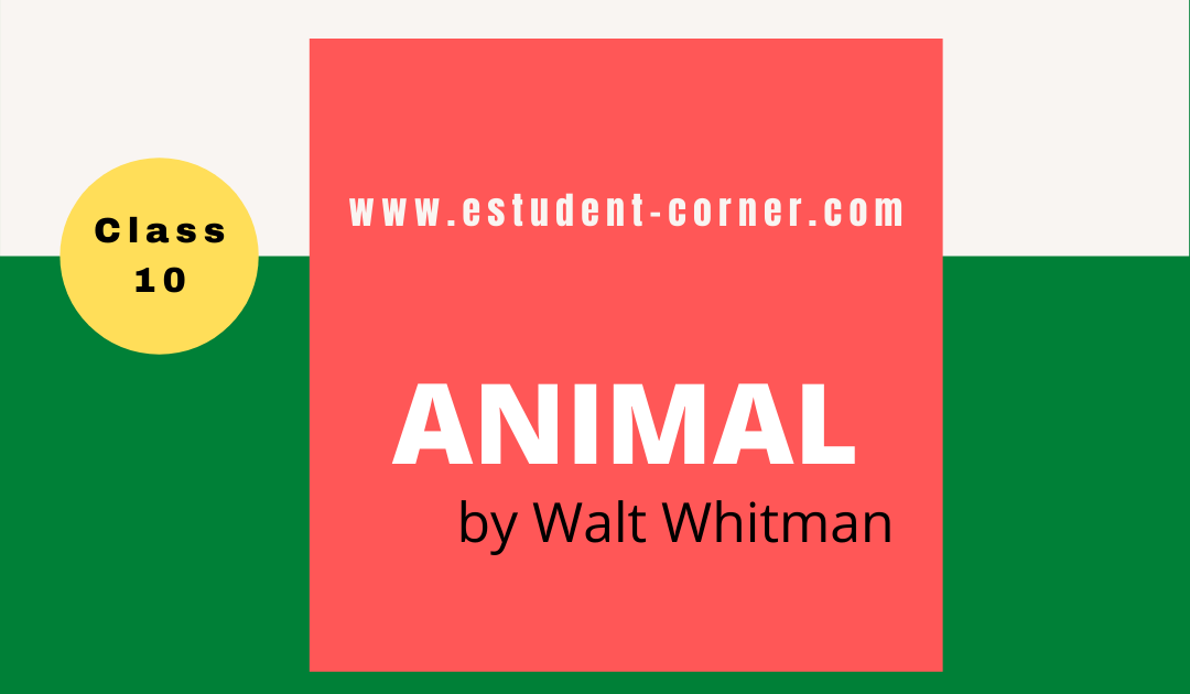 HSLC SEBA English Solutions | Class 10 | Animal by Walt Whitman questions  answers - Estudent-corner-Your Online Home Tutor