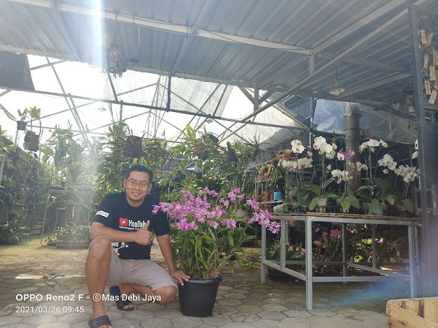 Muhammad Burdabi Ahmad, founder Rumah Anggrek Vita Orchids