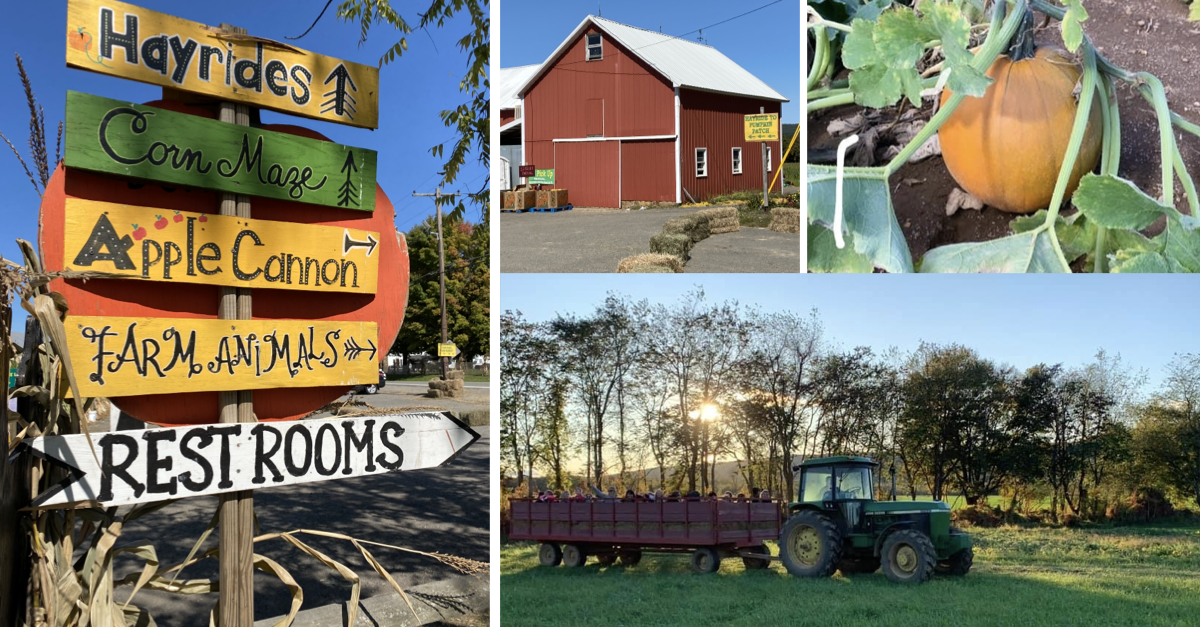 10 Fun Fall Activities to Try at Ort Farms New Jersey Fall Fun for