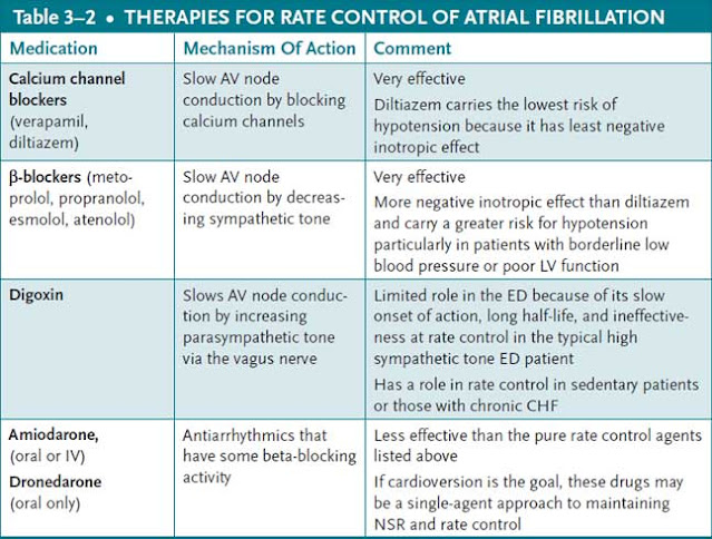 therapies for rate control of atrial fibrillation