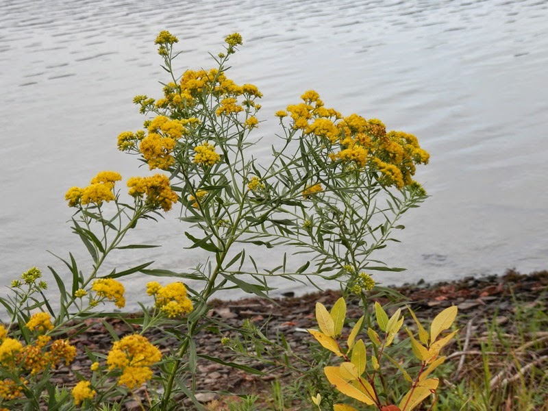 Southeastern PA Hiking Peace Valley Park