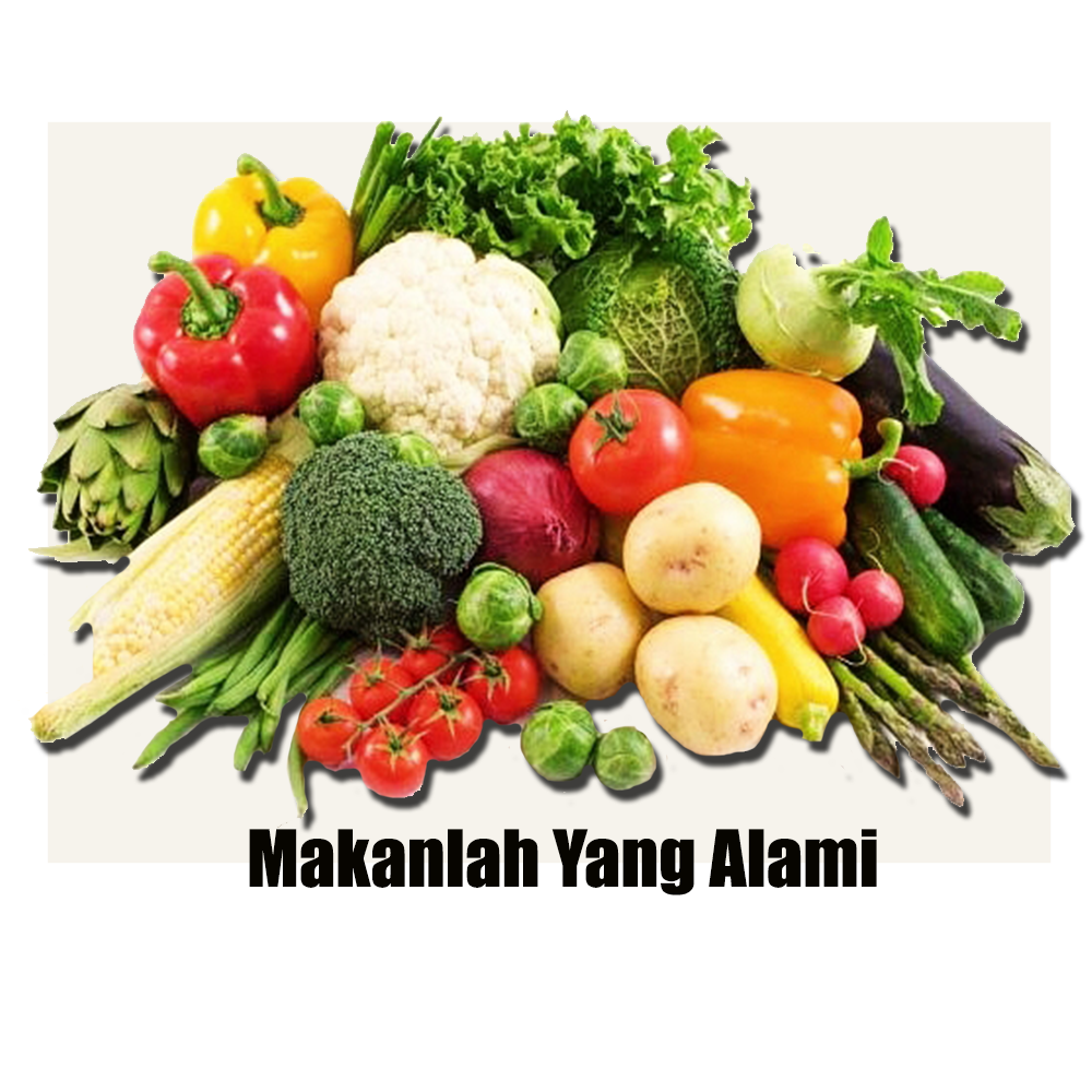 jadi7.png
