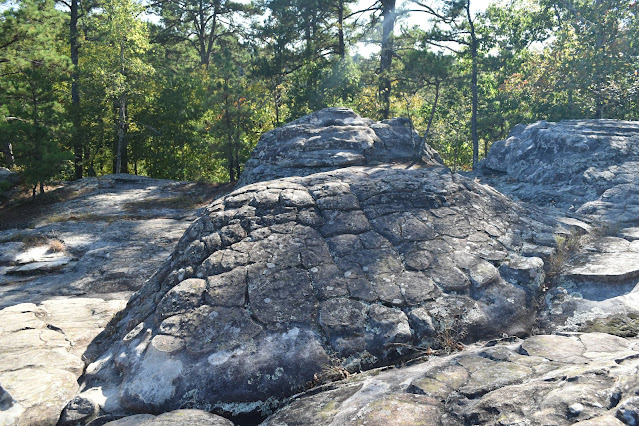 Turtle Rocks at Petit Jean State Park, Arkansas