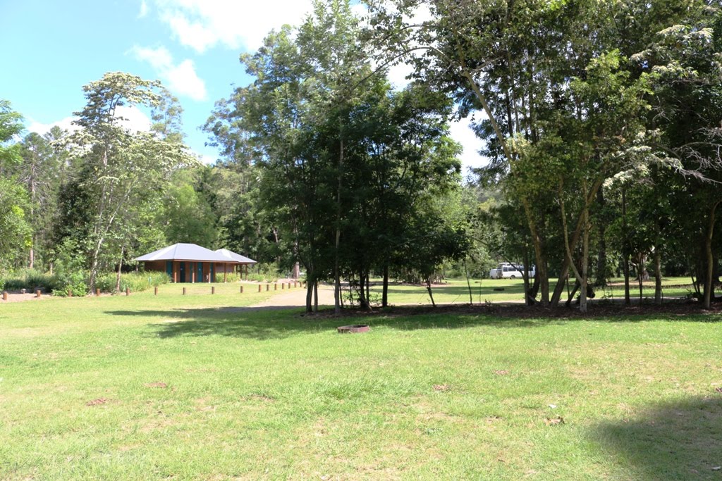 National Park Odyssey Cedar Grove Camping Area, Amamoor State Forest, QLD.