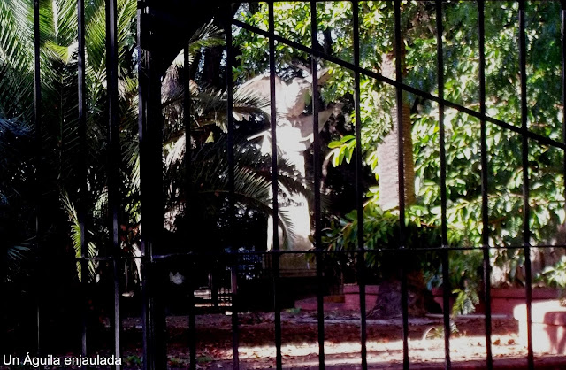 ¡Salven los Muebles!