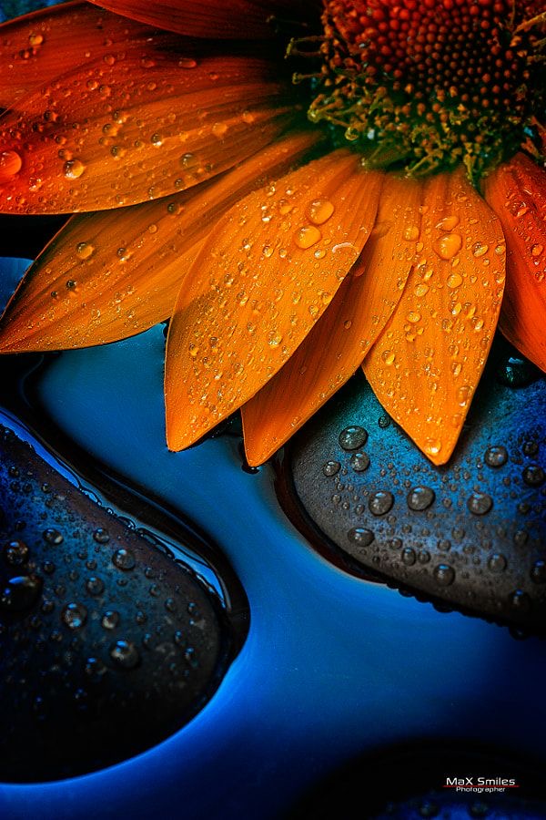 Popüler Telefon Duvar Kağıtları 3