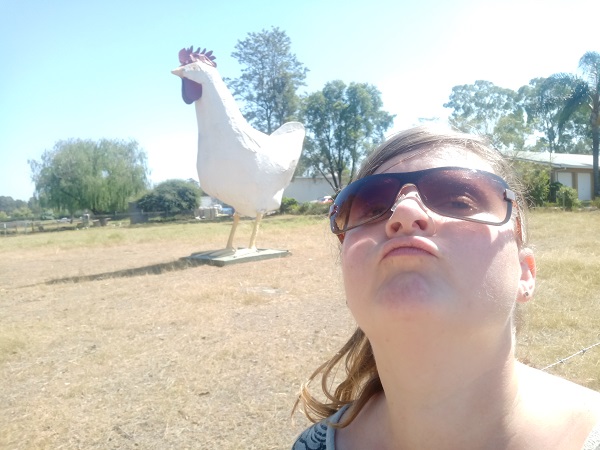 BIG Chicken in Kemps Creek