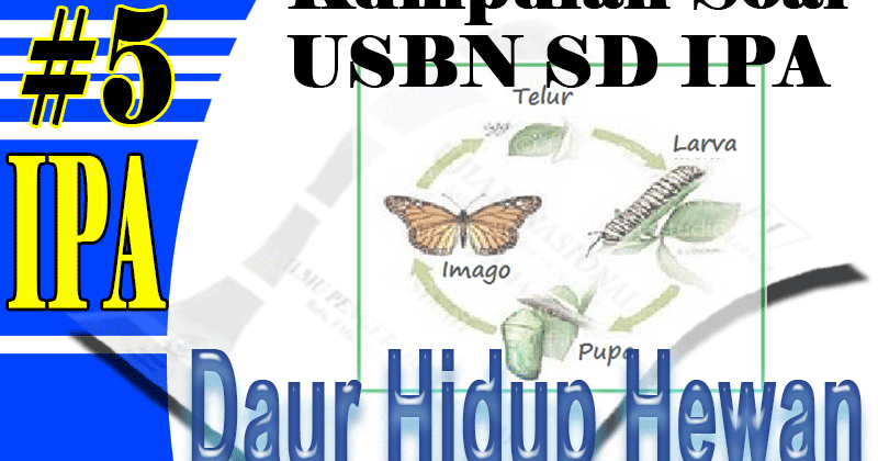 Daur Hidup Hewan Apa Saja Yang Menjadi Bahasan Un Sd Bagaimana Inti Pembelajarannya Sdn Ratujaya 1