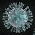 What is Coronavirus & What are the symptoms of Coronavirus?