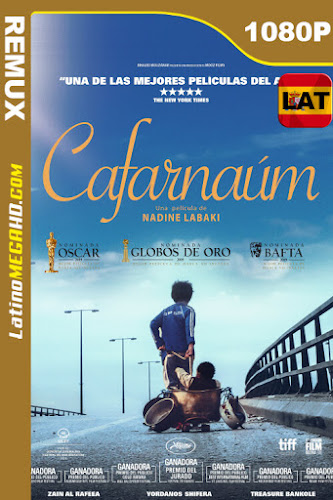 Capharnaüm (2018) Latino HD BDREMUX 1080P (2018)