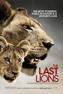 تحميل الوثائقي الشيق The Last Lions اخر الاسود مترجم 9ab455e3ece2.original