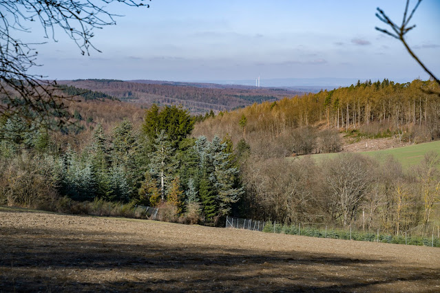 Eschbacher Klippen und Maibacher Schweiz | Wanderung rund um Michelbach im Taunus 20