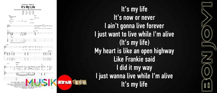 перевод песни ис май лаит. ит май лайф перевод.