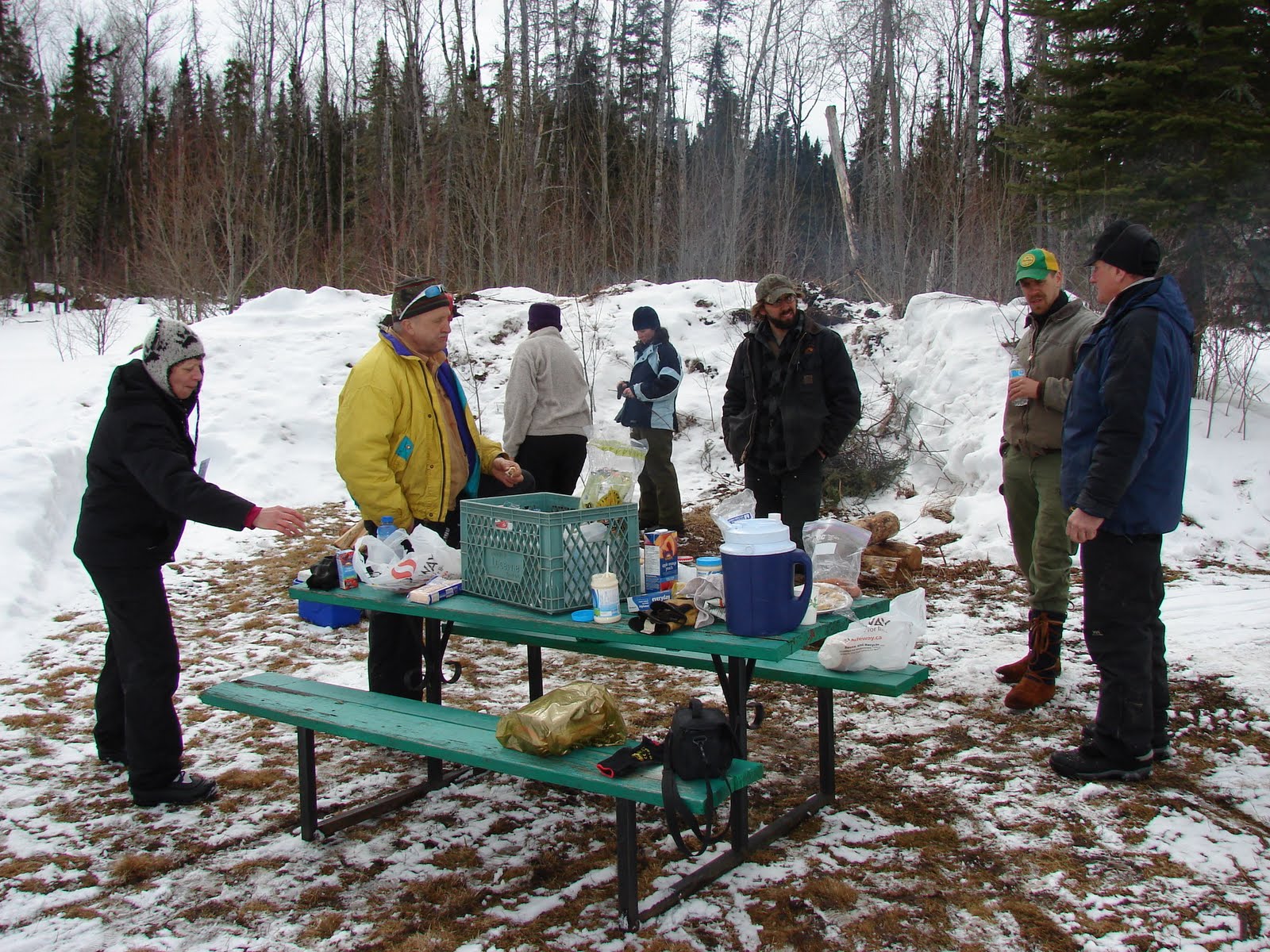 Live the Adventure Our First Dog Sled Race