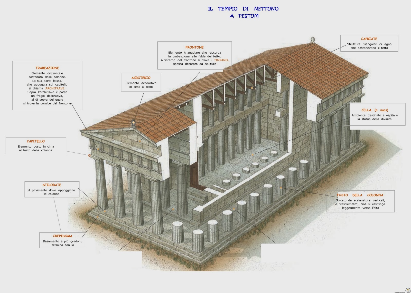 Paradiso delle mappe Arte Greca Il tempio di Nettuno a Pestum