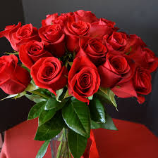 valentine rose love , valentine rose plant , valentine climbing rose , rose day  ,valentine rose flower  ,valentine day  ,valentine rose variety,  valentine rose images,