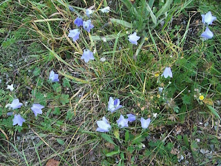 CIMG2543 - Vacker, dimmig höstmorgon