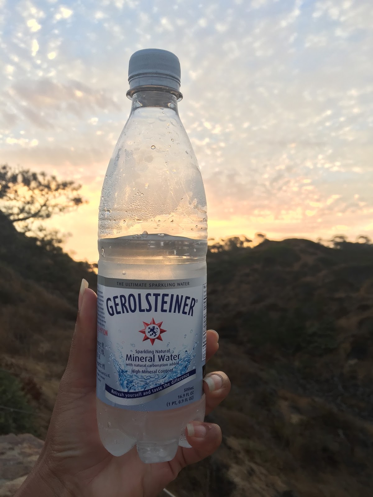 Running with SD Mom Gerolsteiner Sparkling Mineral Water SparklingDetox