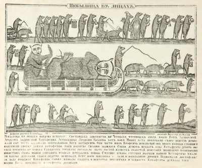 BOOKTRYST: Rats To You: An Unusual Infested Collection