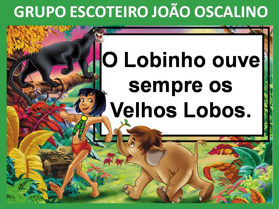 grupo-escoteiro-jo-o-oscalino-lei-do-lobinho