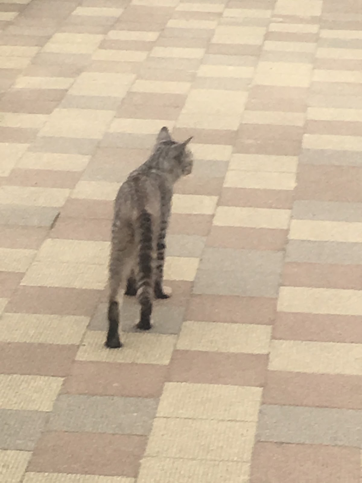奈良よサヨナラ 大阪へ戻ってきた ４２６日目 奈良の運動公園 大阪 京橋漫画喫茶マンボー Gasuという名のもとに 日本一周