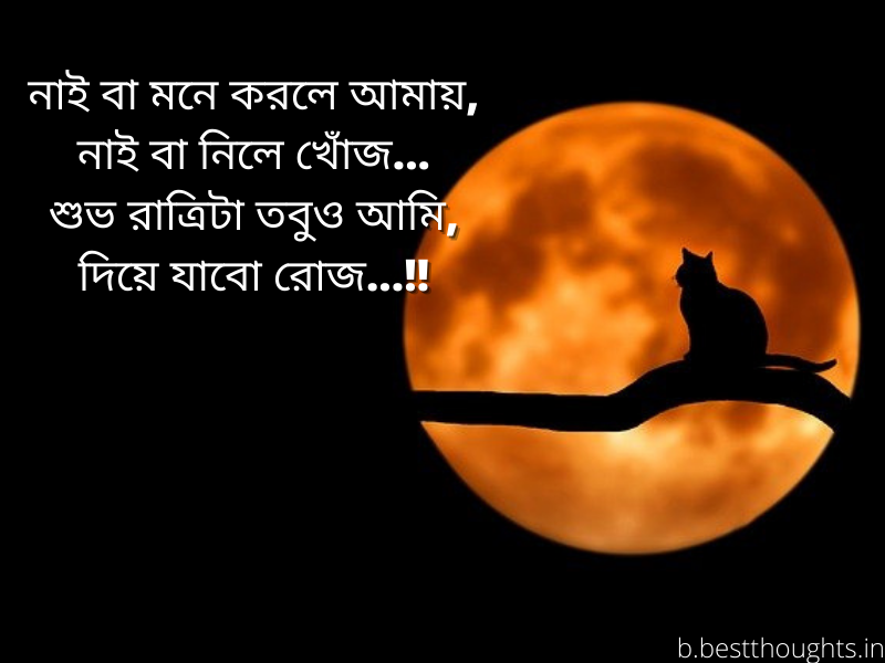 bengali good night sms