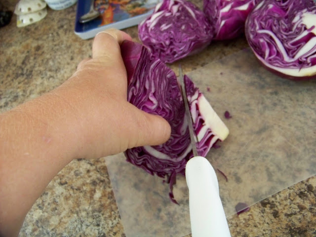 Red Cabbage