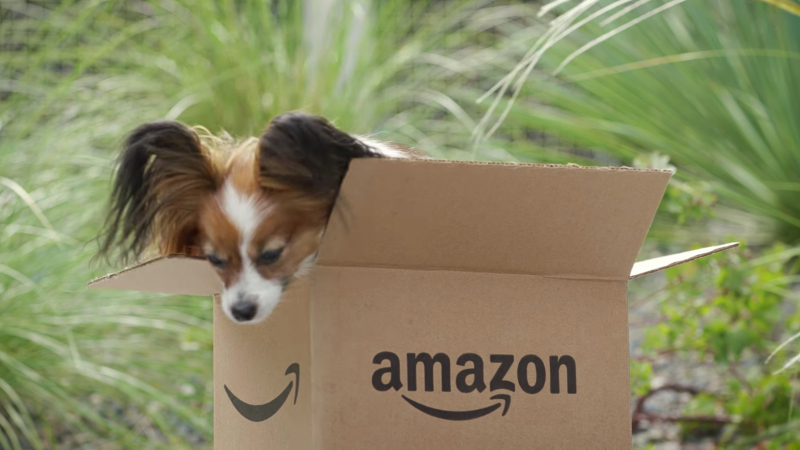 Amazon continua sua expansão no Brasil com lançamento de novas lojas de produtos Amazon continua sua expansão no Brasil com lançamento de novas lojas de produtos