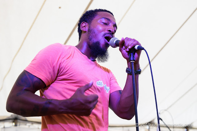 &More at Hillside Festival on Saturday, July 13, 2019 Photo by John Ordean at One In Ten Words oneintenwords.com toronto indie alternative live music blog concert photography pictures photos nikon d750 camera yyz photographer