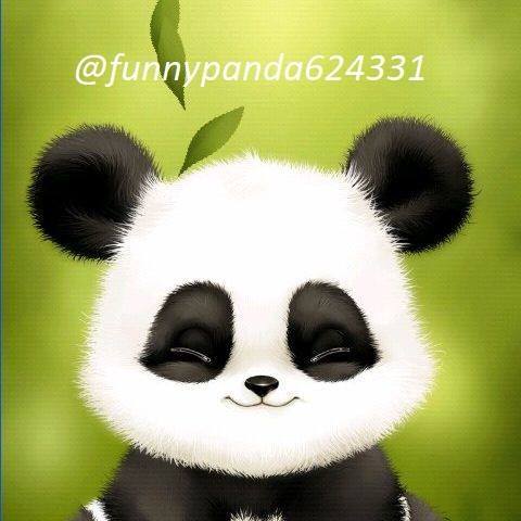 Funny Panda