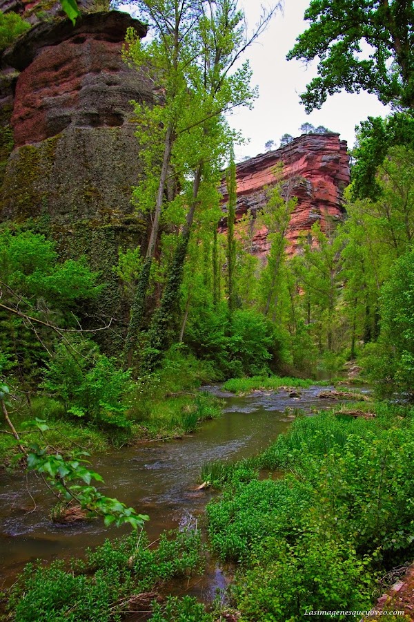 Parque Natural del Alto Tajo