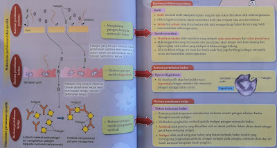 mekanisma pertahanan badan