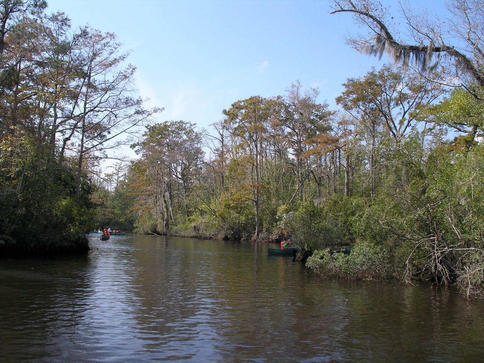 Travel with the Slivas Louisiana Bayou NWR