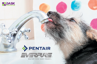 Water you can Trust : PENTAIR - EVERPURE 🇺🇲️ ®  🇨🇾️ : DASK Services 💧❄️☀️🔧  While Everpure filtration systems from Pentair protect the water in foodservice operations worldwide, we also care about the quality of your water at home. We are committed to providing commercial-grade residential filtration solutions to help ensure that every glass of water you drink or serve to family and friends at home is fresh, clean and sparkling clear. 🥛☕🍸🍲🥦🌻🚿 ♻️ water filters cyprus, φίλτρα νερού κύπρος, Filtration Faucets, Water Appliances, reverse osmosis systems, Household Water Treatment, Οικιακά Φίλτρα Νερού, Businesses Professional Water Treatment, Επαγγελματικά Φίλτρα Νερού, Water Appliances Protection, Προστασία Μηχανημάτων Νερού, Quality Water for Food Beverage,  Ποιοτικό Νερό για Επαγγελματικές Κουζίνες Ροφήματα, Coffee and Ice Water Specialist, Εξειδικευμένο Νερό Καφέ και Πάγου,