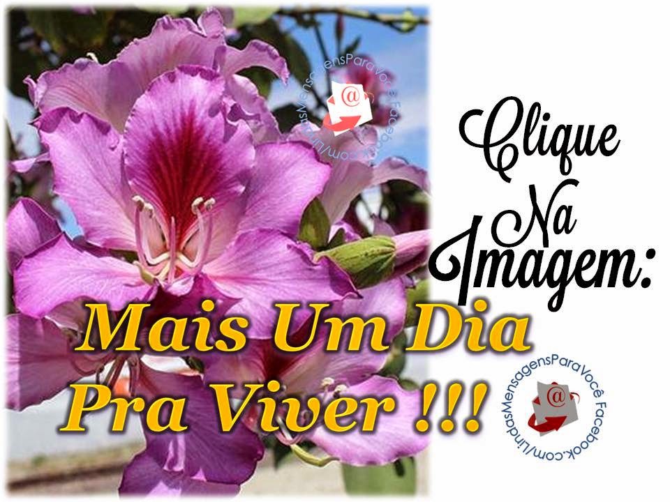 Lindas Mensagens Para Você Mais Um