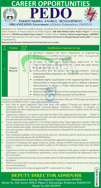 Latest jobs in Pakhtunkhwa Energy Development Organization march 2021 online