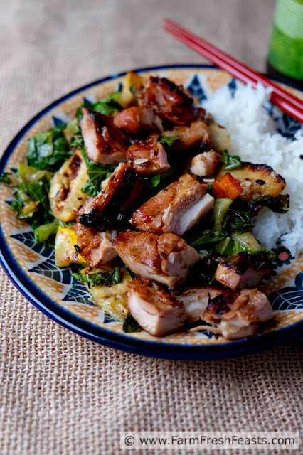 http://www.farmfreshfeasts.com/2015/07/grilled-korean-chicken-thighs-with.html