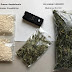 Residential Community Was Involved In Dark Web Drug Deals In Germany