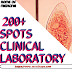 1000+ CLINICAL LABORATORY SPOTS | CMT4 | DOWNLOAD ALL FILES