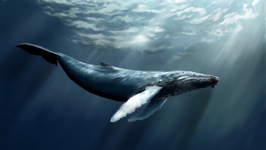 #4.3360, Humpback Whale, Ocean, Underwater, Art, 4K Wallpaper