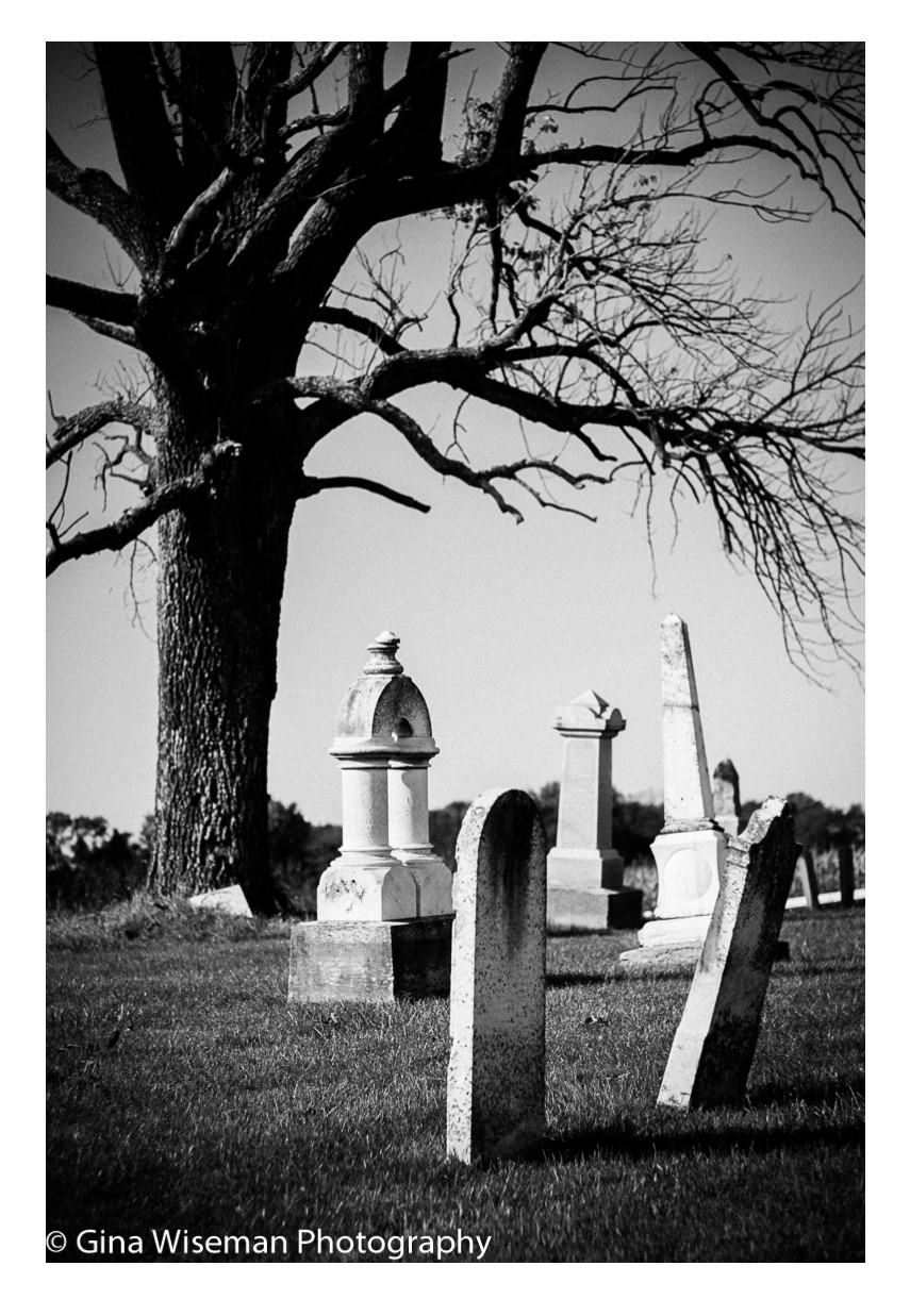 Shelbyville Indiana Forest Hill Cemetery Miller Cemetery Indiana