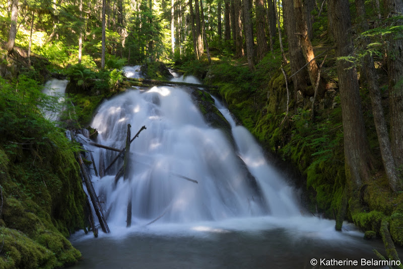 Mt. Hood National Forest Little Zigzag Falls Trail 5 Great Hikes in Oregon’s Mt. Hood Territory