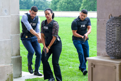 Fbi Most Wanted Season 3 Image 4