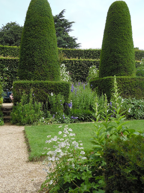 topiary, ogród angielski