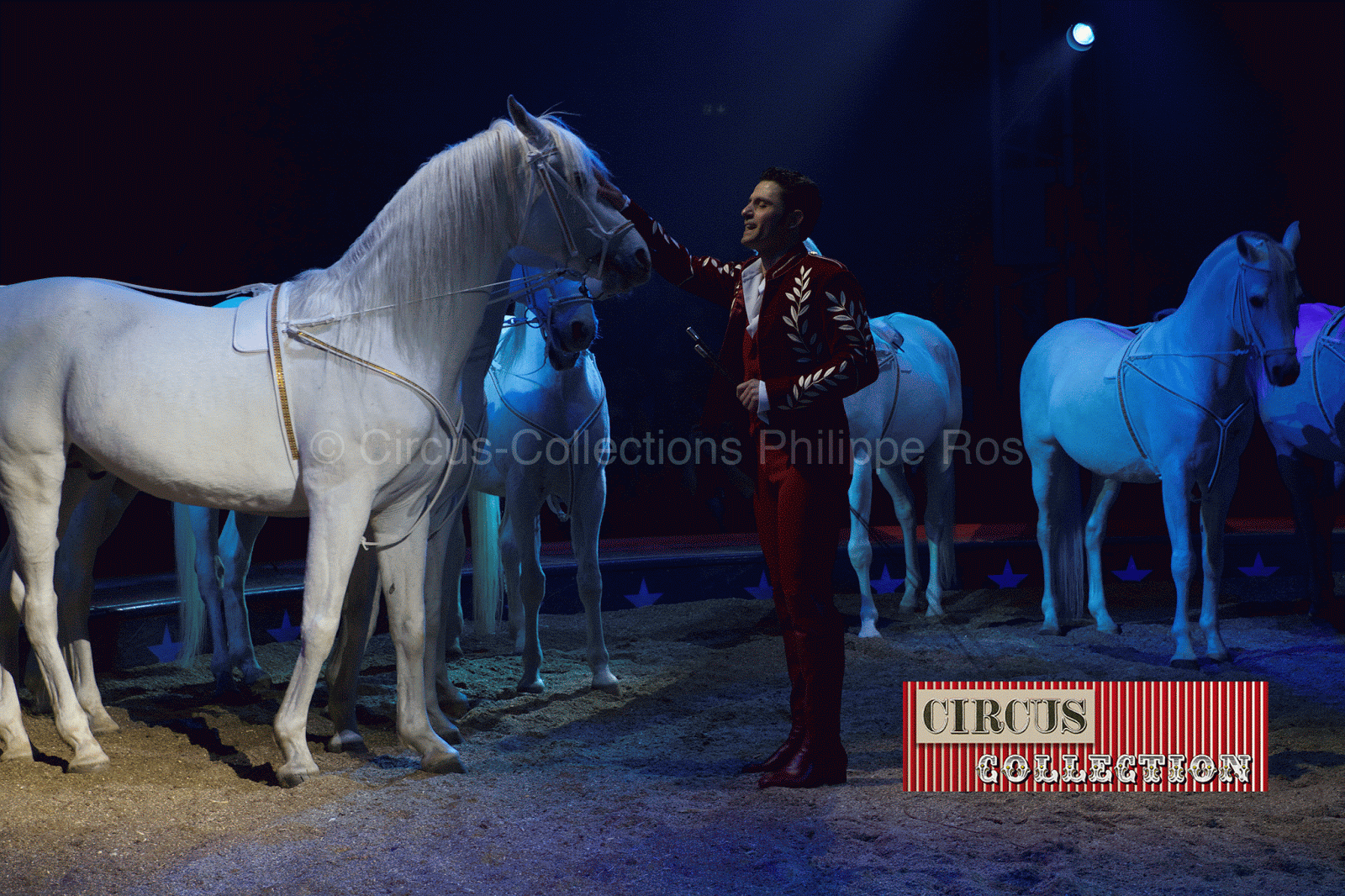 Maycol Errani présente les chevaux du Cirque Knie