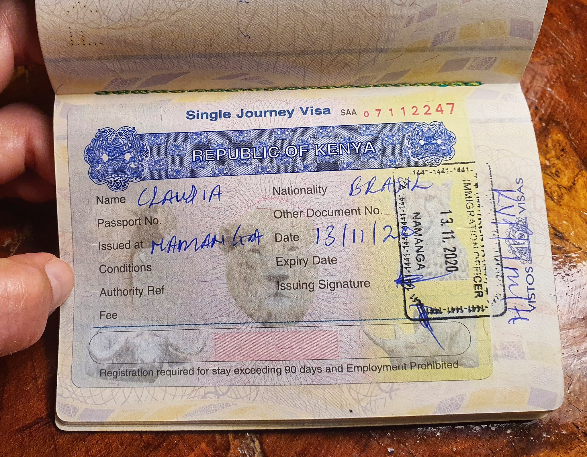 Vistos para Tanzânia e Quênia tudo