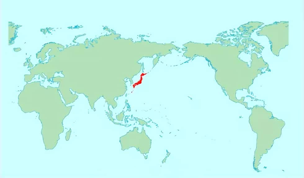 Японские острова на контурной карте